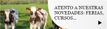 noticias-on
